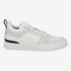 Blackstone Art.  XG73 - White -Paul Green Shop aussenseite 1331010316