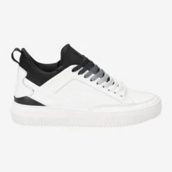 Blackstone Art.  XG88 - White,combined -Paul Green Shop aussenseite 1531910006