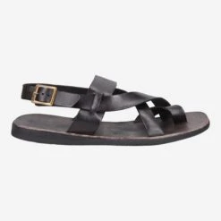 Art.  46-478 - T.D. Moro -Paul Green Shop aussenseite 1913210002