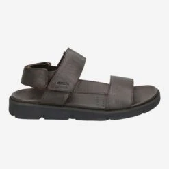 Geox Art.  XAND - Brown -Paul Green Shop aussenseite 1923010126