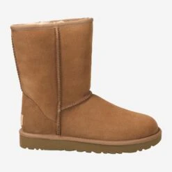 Ugg Art.  CLASSIC SHORT II - Brown -Paul Green Shop aussenseite 2783060035