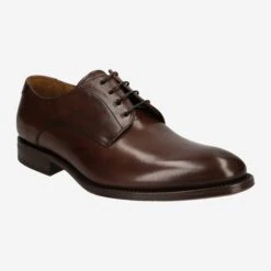 Art. 7358 MARR - Brown