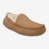 Ugg Art. 1101110-CHE ASCOT - Brown 2 Ugg Art. 1101110-CHE ASCOT - Brown -Paul Green Shop haupt 1453060017