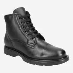 Art.  323428 V19667 - Black