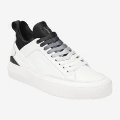 Blackstone Art.  XG88 - White,combined -Paul Green Shop haupt 1531910006