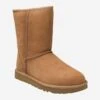 Ugg Art.  CLASSIC SHORT II - Brown