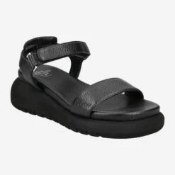 Art.  9778 103 NERO - Black