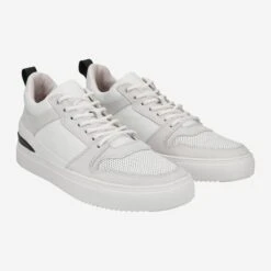 Blackstone Art.  XG73 - White