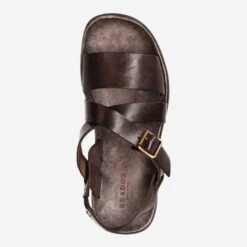 Art.  46-765 - Brown -Paul Green Shop top 1813010022