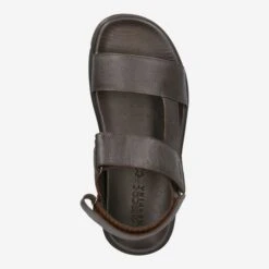 Geox Art.  XAND - Brown -Paul Green Shop top 1923010126