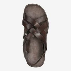 Art.  46-559 - Brown -Paul Green Shop top 1923110054