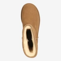 Ugg Art.  CLASSIC SHORT II - Brown -Paul Green Shop top 2783060035