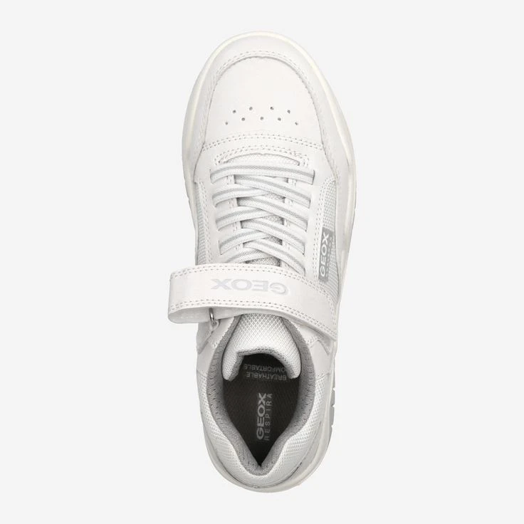Geox Art. PERTH - White 7 Geox Art. PERTH - White - Image 5
